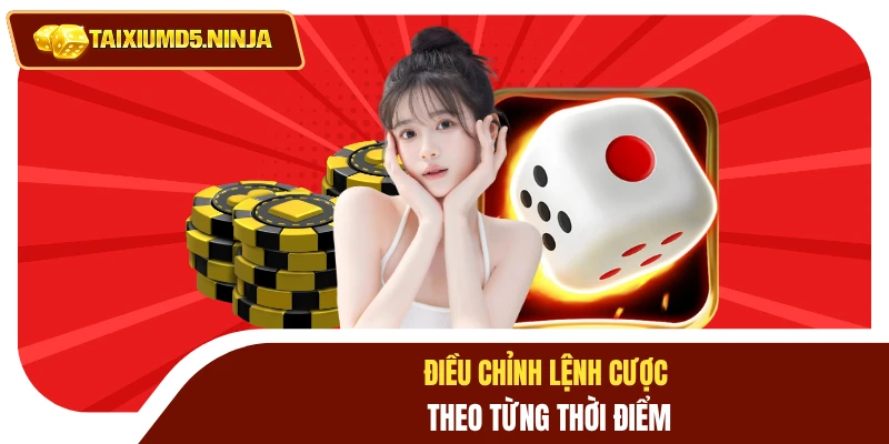Cách Bỏ Tài Xỉu - Hướng Dẫn Đặt Cược Nhanh, Hiệu Quả 3 Điều chỉnh lệnh cược theo từng thời điểm
