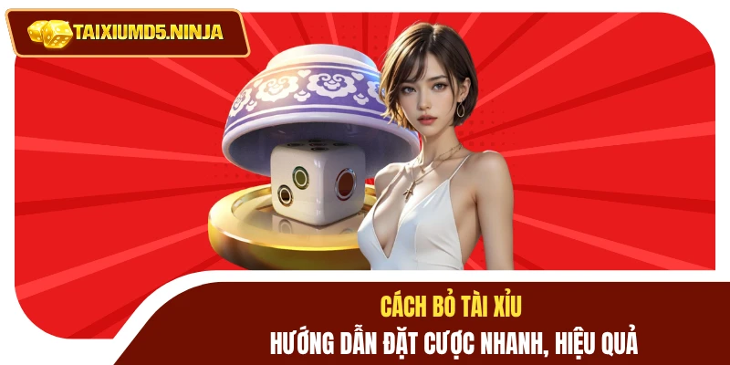 Cách Bỏ Tài Xỉu - Hướng Dẫn Đặt Cược Nhanh, Hiệu Quả 7 Cách bỏ tài xỉu