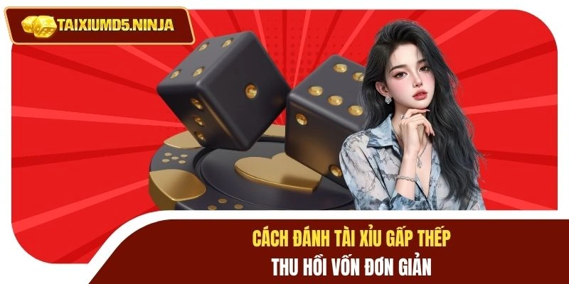 Cách đánh tài xỉu gấp thếp thu hồi vốn đơn giản