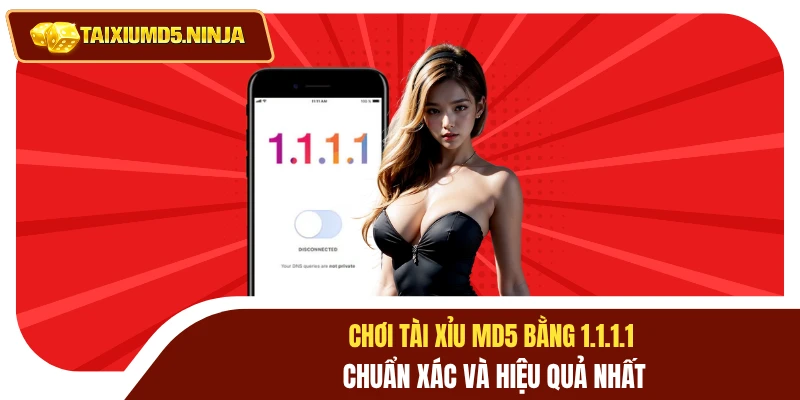 Chơi Tài Xỉu MD5 Bằng 1.1.1.1 Chuẩn Xác Và Hiệu Quả Nhất 2 Chơi tài xỉu MD5 bằng 1.1.1.1