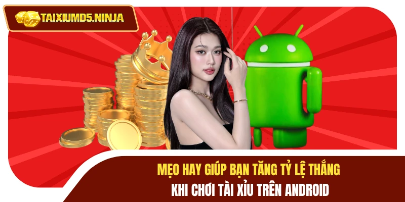 Chơi Tài Xỉu MD5 Trên Android Làm Sao Để Chiến Thắng? 4 Mẹo hay giúp bạn tăng tỷ lệ thắng khi chơi tài xỉu trên Android