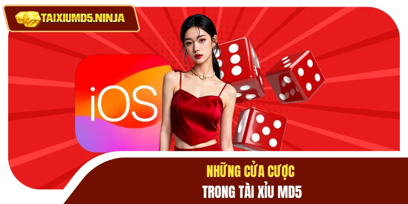 Những cửa cược trong Tài Xỉu MD5