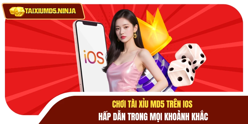 Chơi Tài Xỉu MD5 Trên IOS Hấp Dẫn Trong Mọi Khoảnh Khắc 7 Chơi tài xỉu MD5 trên IOS