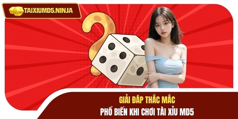 Giải đáp thắc mắc phổ biến khi chơi Tài Xỉu MD5