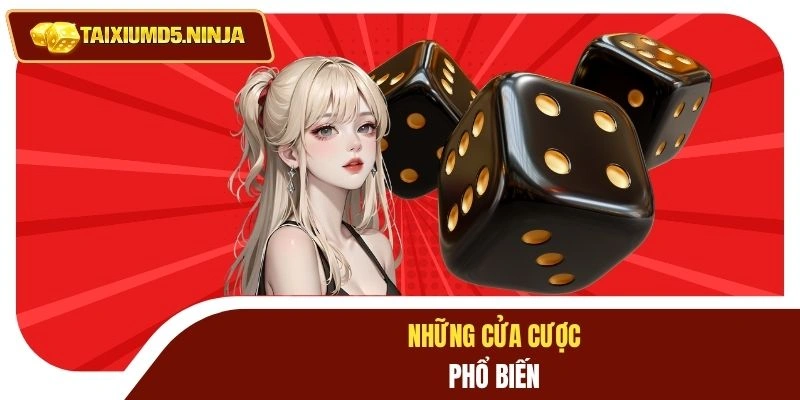 Game Tài Xỉu Bay789 - Cơ Hội Nhận Tiền Tỷ Trong Tầm Tay 3 Những cửa cược phổ biến
