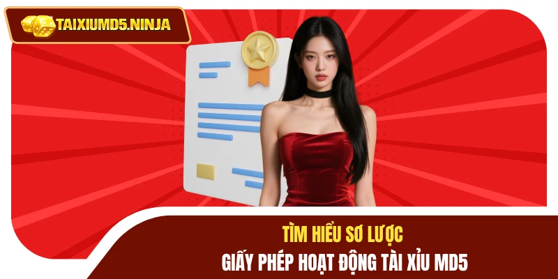 Giấy Phép Hoạt Động 1 Tìm hiểu sơ lược giấy phép hoạt động Tài Xỉu MD5