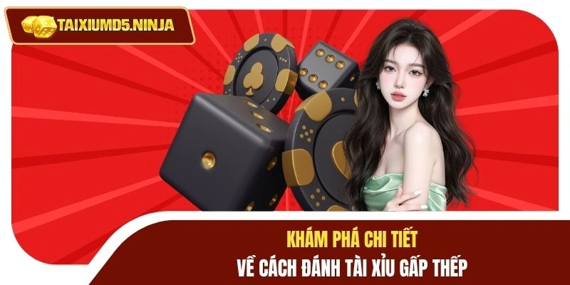 Khám phá chi tiết về cách đánh tài xỉu gấp thếp