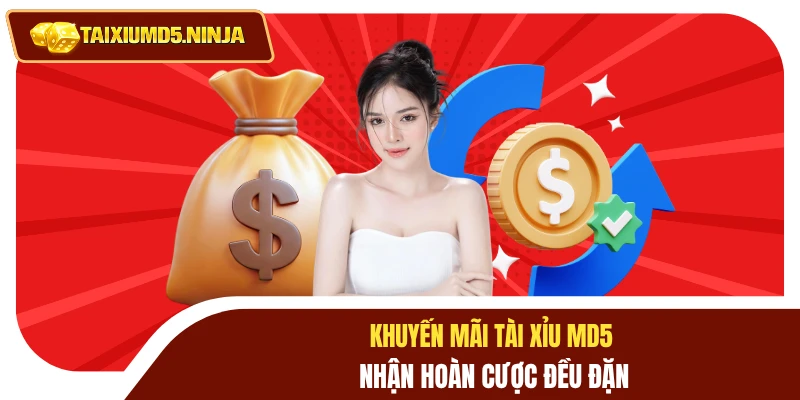 Khuyến Mãi Tài Xỉu MD5 3 Khuyến mãi Tài Xỉu MD5 nhận hoàn cược đều đặn