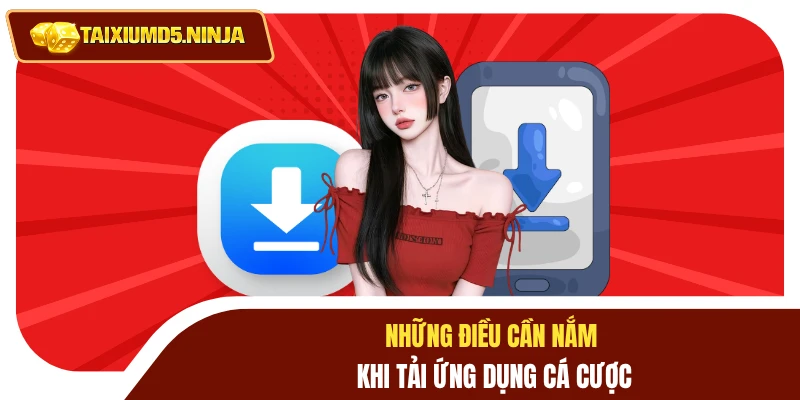 Tải App Tài Xỉu MD5 3 Những điều cần nắm khi tải ứng dụng cá cược