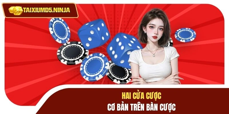 Tài Xỉu Win79 Đẳng Cấp Sòng Bài Số Với Sự Minh Bạch Cao 2 Hai cửa cược cơ bản trên bàn cược