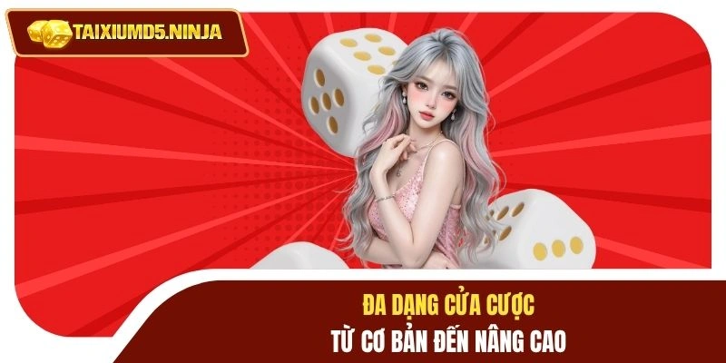 Tài Xỉu Winclub Và Top 4 Bàn Cược Được Săn Đón Nhất 2 Đa dạng cửa cược từ cơ bản đến nâng cao