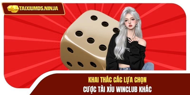 Tài Xỉu Winclub Và Top 4 Bàn Cược Được Săn Đón Nhất 4 Khai thác các lựa chọn cược tài xỉu Winclub khác