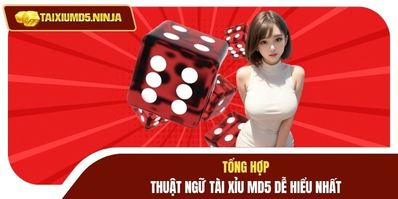 Tổng hợp thuật ngữ Tài Xỉu MD5 dễ hiểu nhất