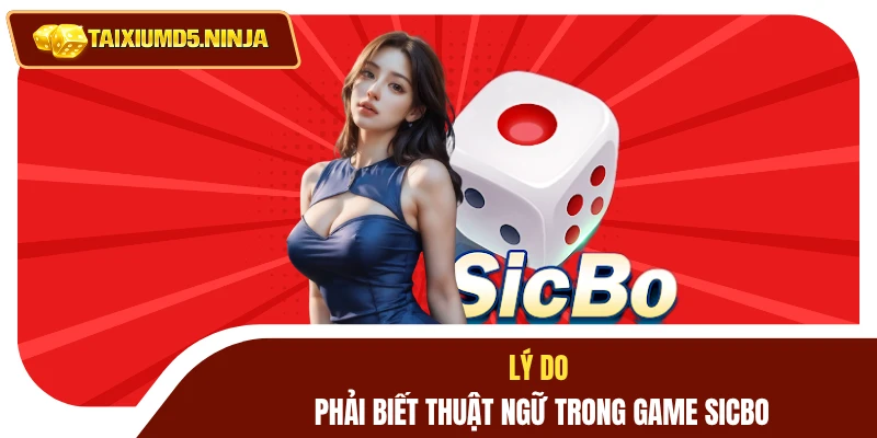 Thuật Ngữ Tài Xỉu: Giải Mã Ý Nghĩa Giúp Làm Chủ Cuộc Chơi 2 Lý do phải biết thuật ngữ trong game Sicbo