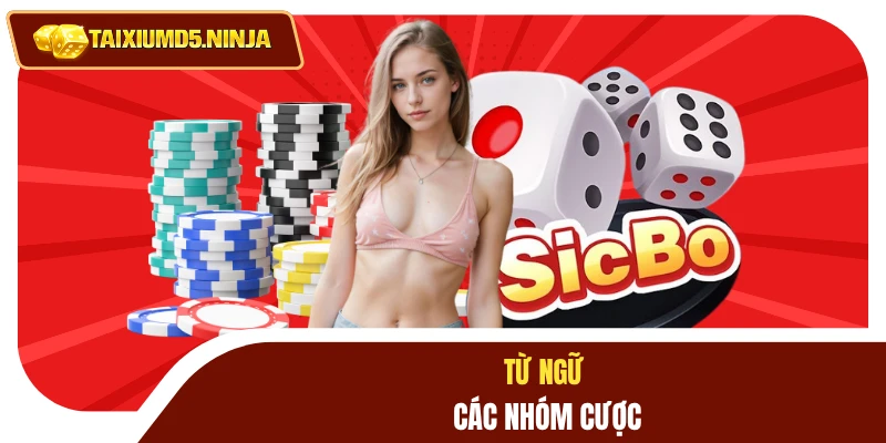 Thuật Ngữ Tài Xỉu: Giải Mã Ý Nghĩa Giúp Làm Chủ Cuộc Chơi 3 Từ ngữ các nhóm cược