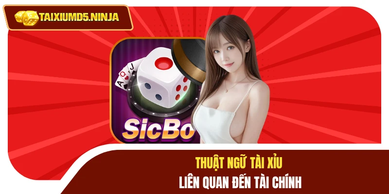 Thuật Ngữ Tài Xỉu: Giải Mã Ý Nghĩa Giúp Làm Chủ Cuộc Chơi 4 Thuật ngữ tài xỉu liên quan đến tài chính