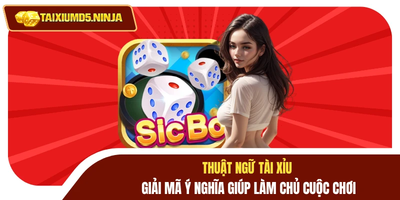 Thuật Ngữ Tài Xỉu: Giải Mã Ý Nghĩa Giúp Làm Chủ Cuộc Chơi 8 Thuật ngữ Tài Xỉu
