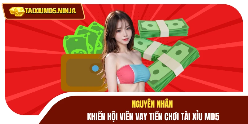 Vay Tiền Chơi Tài Xỉu MD5 Lợi Hay Hại? Hướng Xử Lý Đúng 2 Nguyên nhân khiến hội viên vay tiền chơi Tài Xỉu MD5